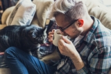 ¿Cómo demuestran afecto los gatos? Pautas que te ayudarán