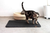 Las mejores alfombras para gatos del 2024 (Guía y análisis)