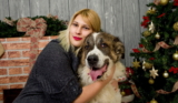 ¿Árbol de navidad a prueba de perros? 18 pautas para el tuyo