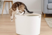 Mejores areneros para gatos del 2026