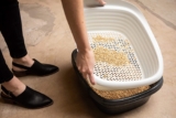Análisis de la arena para gatos de Arm and Hammer del 2026