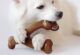 Juguete masticable hueso de sabores reales para perro Benebone