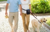 Las mejores bolsas de adiestramiento para Perros del 2026 (análisis)