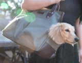 Los mejores bolsos para perros (transporte) del 2024 (análisis)