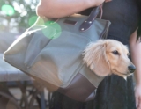 Los mejores bolsos para perros (transporte) del 2026 (análisis)