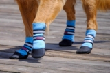 Las mejores botas para perros del 2026 (Análisis)