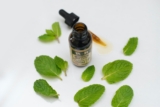 ¿El aceite de menta es seguro para los perros?