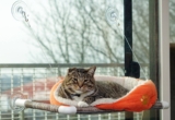 Mejores camas colgantes para gatos para ventana del 2024