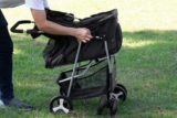 Mejores carritos para gatos del 2026 (análisis) (trolley)