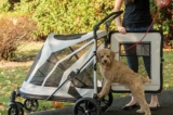 Mejores modelos de carritos para perros del 2024 (Guía)