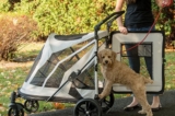 Mejores modelos de carritos para perros del 2026 (Guía)