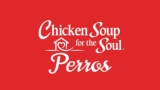 Reseña de la comida para perros Chicken Soup for the Soul