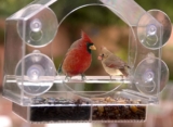 Los mejores comederos para aves para ventana del 2026 (análisis)