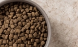 La mejor comida de cordero para perro del 2026 (análisis)