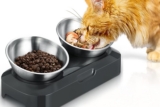 ¿Los gatos prefieren comida fría o caliente?