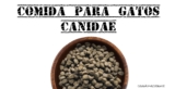 Análisis de la comida para gatos Canidae