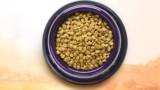 Reseña de la comida para gatos Halo