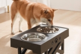 ¿Los perros prefieren comida fría o caliente?