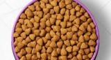 Mejor comida sin guisantes ni legumbres para perros del 2026 (análisis)