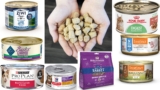 La mejor comida para gatos con pancreatitis del 2026 (análisis)