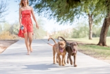 Mejores correas dobles para perros del 2026 (Análisis)