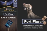 Probiótico Fortiflora para Perros: Composición, Dosificación y Beneficios