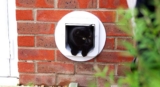 Las mejores gateras (puertas para gato) del 2026
