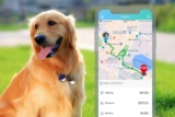 Los mejores rastreadores GPS para perros del 2024 (análisis)