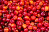 ¿Pueden los perros comer cerezas? Lo que deberías saber