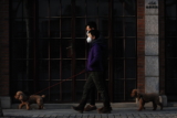 Enfermedad del Coronavirus Canino – ¿Pueden los perros contraer COVID-19?