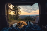 El mejor equipo de acampada para perros del 2026 (análisis)