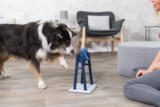 Mejores juguetes interactivos para perros para mantenerlo ocupado del 2026