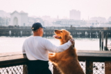 5 formas de decir te quiero en lenguaje de perro