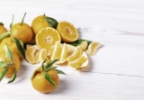 Beneficios de la vitamina C para los perros
