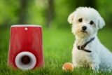 Mejores lanzadores de pelotas para perros del 2026 (análisis)