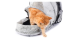 Las mejores mochilas para gatos del 2024 (análisis)