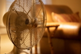 Mejores ventiladores para perros del 2026