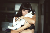 ¿Los gatos se ponen celosos?  ¿Y qué hacer al respecto?