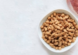 La mejor comida para perros con diarrea del 2026 (análisis)