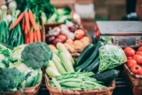 14 verduras que puede comer tu perro y 3 que no
