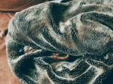 5 razones por las que un perro se esconde