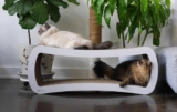 Rascadores de cartón para gatos: los mejores del 2024 (guía)