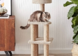 Mejores postes rascadores para gatos del 2026 (análisis)