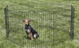 Mejores vallas portátiles para perros para RV del 2026 (análisis)
