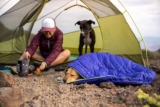 Los mejores sacos de dormir para perros del 2026 (análisis)