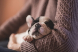 ¿Por qué los perros duermen tanto?