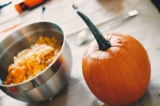 ¿La calabaza es buena para los gatos? (Datos interesantes)