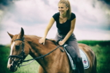 Cómo comprar un caballo y evitar los errores más comunes