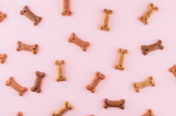 ¿Pueden los perros comer comida para gatos?  (Guía de Nutrición)