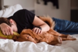 ¿Los perros sueñan? ¿Con qué sueñan?